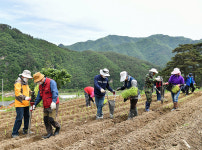 정선군지방행정동우회, 농촌일손돕기 전개