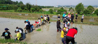 광주북초등학교 학생들 모내기 체험활동 전통적 벼농사 경험