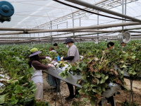 김제시 상하수도과 농촌일손돕기에 구슬땀 흘려