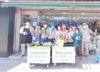 성주군, 성주·시장로 일원 1점포 1화분 키우기, 플랜테리어 조성사업