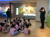 강릉관광개발공사 숲사랑홍보관 체험 프로그램 시행