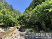 사천 케이블카 자연휴양림 8월 개장한다