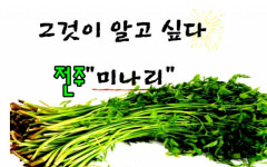 만두서 빵, 그리고 초컬릿까지...전주 10미(味) 미나리의 무한변신