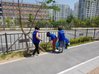 세종시 바르게살기운동 다정동위원회 가로수 관리에 앞장