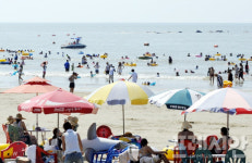 영광군 가마미·송이도 해수욕장…9일 · 17일 개장