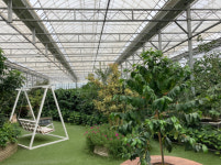 통영 동백커피식물원 개장…바리스타 체험도 추진