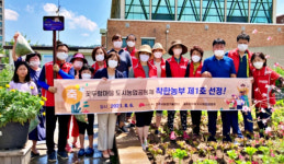 전주시 착한농부 1호에 아낌없이 기부한 도시농업공동체 꽃두렁마을