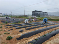 남원시, 올해 상반기 귀농·귀촌인 567명 유치