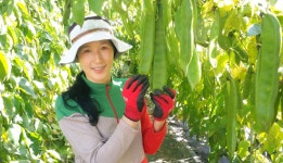 세계 최대 온라인 쇼핑몰‘아마존’인기 품목  강진산‘작두콩 차’맛보세요