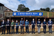 국내 최고원 태백 유산양목장 몽토랑 개장
