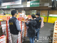 (주)돈돈제주유통 | 제주자치경찰단, 비상품 감귤 유통 22건 적발