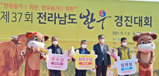 전남 한우경진대회 장흥군 우량한우 최우수상 수상