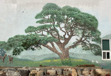 영월 산솔면사무소 청사, 솔고개 소나무 벽화로 새 단장