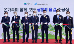 원주 혁신로에 ‘광물거리’ 생겼다