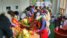 동해시 북삼동주민자치위, 분토마을 배추로 겨울나기 지원