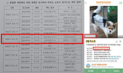 버려지는 동물로 돈벌이...세금도 부정하게 수급했다