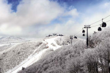 “하이원에서 스키 타면, 푸짐한 경품이 덤으로”