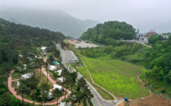 정선군, 웰니스 여행 회동솔향캠핑장 조성 완료