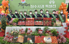 장수 사과 수도권 입맛 공략…서울 양재하나로클럽서 판촉전