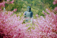 강진 남미륵사, 2021 인스타를 빛낸 관광지 선정