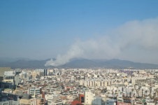 대구 동구 둔산동 산 180번지 일대 산불 발생...긴급 진화에도 인근 야산으로 번져