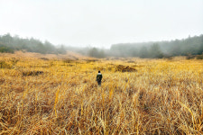 봄의 왕국에서! 가장 봄다운 빛깔로 눈부신 제주 오름