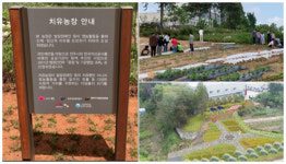 전주에 발달장애인 치유농장 또 생긴다…덕진 장동 이어 완산 대성동에