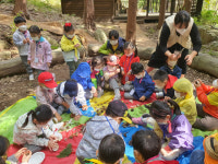 순천국유림관리소, 산림교육 프로그램 유아숲체험원·숲해설 운영