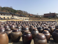 애물단지에서 연천 미라클타운 대표 볼거리 환골탈태