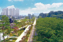 [특집] 도시숲 길에 해안 둘레길까지 이제는 걷고 싶은 포항으로