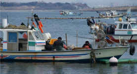 전체 산업보다 10배, 매년 140명 사망하는 어선원 노동자들