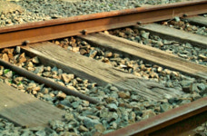 익산 1.5㎞ 녹슨 폐철로에 생명 숲이 파릇…미세먼지 차단숲 조성