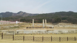 양주 회암사지 나무들 왜 계속 말라 죽나