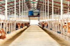 익산시, 깨끗한 축산농장 지정 확대…28개소 추가 지정