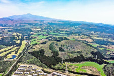 마음까지 푸르게 물든다! 짙푸른 제주 오름 숲길  
