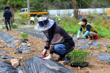 “땀 흘려 농사지으며 중독 치유!”