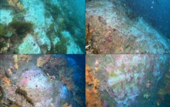 서귀포 문섬·범섬 천연보호구역 민관합동 조사한다