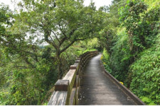 서귀포 푸른 바다! 그 여름의 찬란한 기억