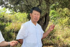 50년 미군 폭격에 유린된 땅, 매향리를 가다