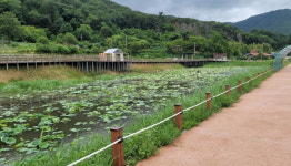 양산 본법마을 연못, 새로운 관광명소로 꾸며져