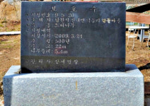 수령 513년 남원 덕동리 달궁 느티나무 한순간에 두 동강…역사 속으로