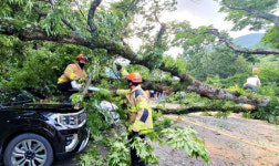 [포토] 부러지고 널브러져 버린 513년의 무게