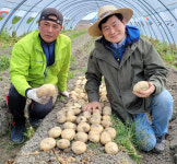 산학협력단-영농조합법인㈜ 삼영농산, 감자 신품종 ‘통일’ 기술이전 협약