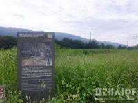 잡초 무성한 ‘고인돌·움집터’…한숨 나오는 ‘포천 자작리 유적지’