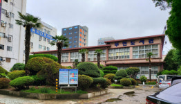 분산 도시 부산, 어쩌면 세계 도시들의 미래가 될 수 있다