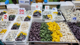 [르포] 거리두기 해제 후 첫 추석 대목…수원 전통시장 북적북적