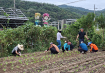 현동 우리동네 FBI, ‘이웃나눔 김장재료’ 파종