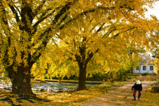 이야기 가득한 보령으로 이번 가을 여행 떠나 보자