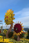 창원시, 제22회 마산국화축제 성공적 개최 준비보고회