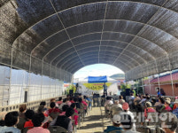 [파주 소식] 파주시, 청소년 문화거리 축제 개최 등